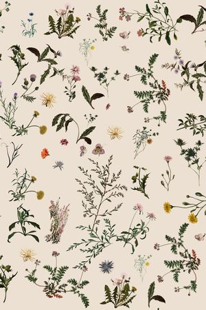 绿植树叶印花华亿平台图片