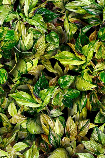 1370646-2020-10-18-2a