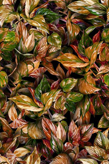 1370647-2020-10-18-2B