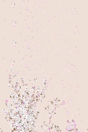 女装定位花印花华亿平台图片