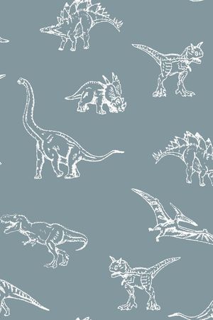 恐龙印花华亿平台图片