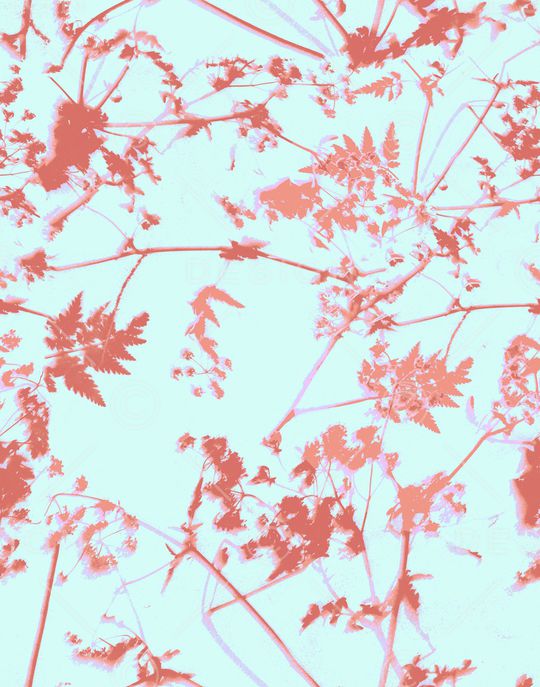 女装定位花印花华亿平台图片