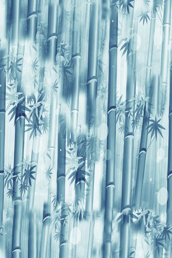 1371352-dear-20289-1