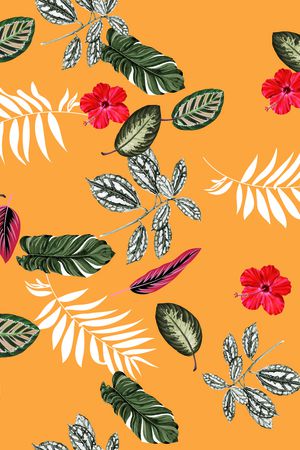 大牌风印花华亿平台图片