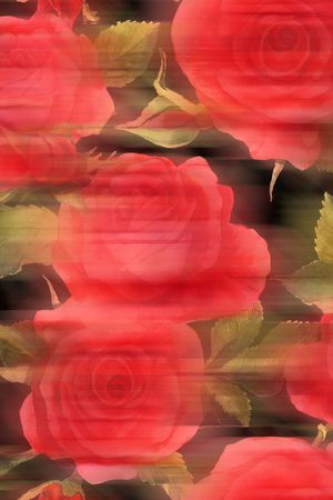 女装印花华亿平台图片