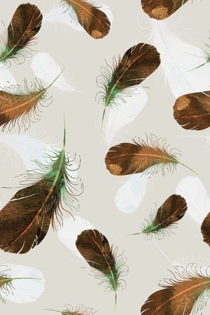 羽毛印花华亿平台图片