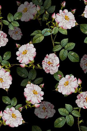 连衣裙印花华亿平台图片