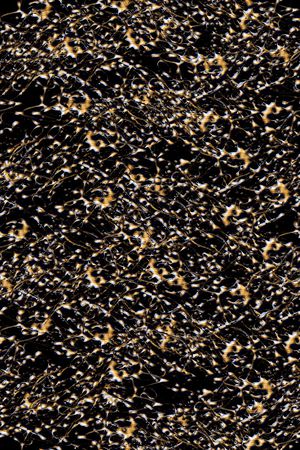 抽象男装印花华亿平台图片