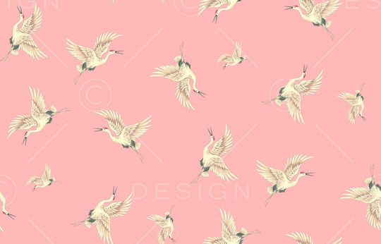 女装印花华亿平台图片