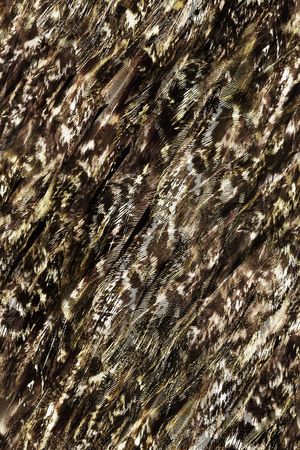 肌理印花华亿平台图片