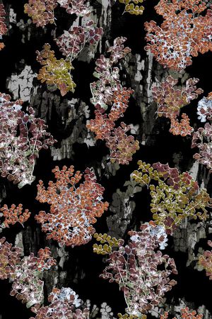 抽象印花华亿平台图片