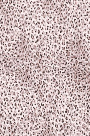 豹纹印花华亿平台图片