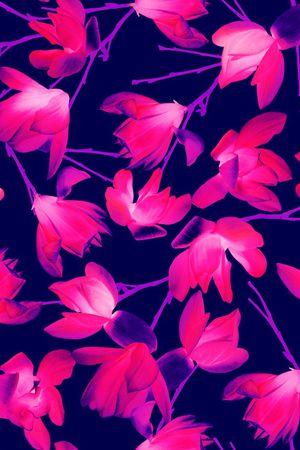 女装印花华亿平台图片