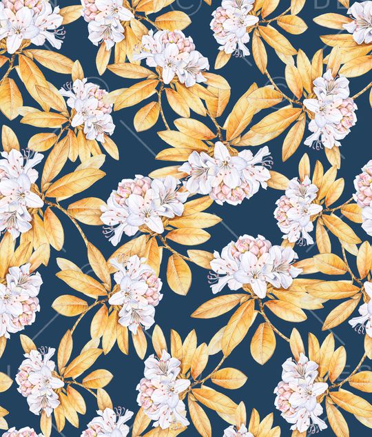 蒲公英印花华亿平台图片