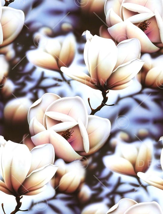 玉兰花印花华亿平台图片