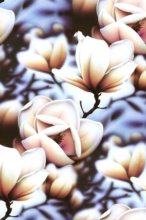 玉兰花印花华亿平台图片