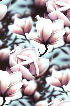 玉兰花印花华亿平台图片