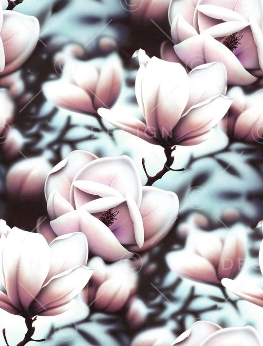 玉兰花印花华亿平台图片