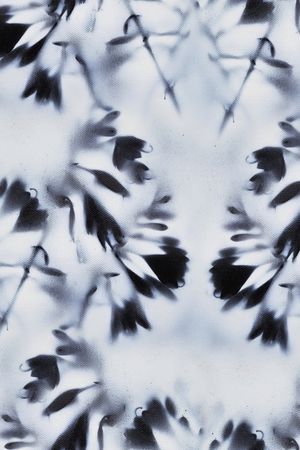 花瓶印花华亿平台图片