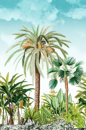 棕榈树印花华亿平台图片