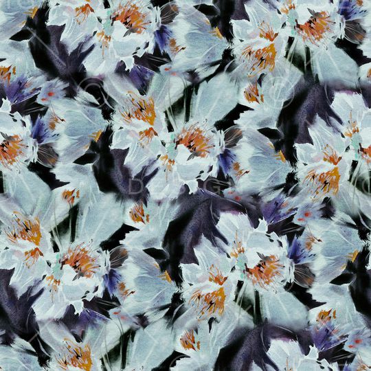 蝴蝶兰印花华亿平台图片