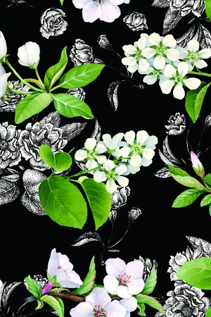 女装印花华亿平台图片