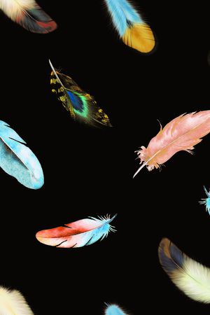 羽毛印花华亿平台图片