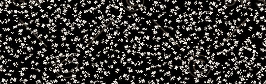 女装印花华亿平台图片