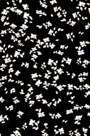 女装印花华亿平台图片