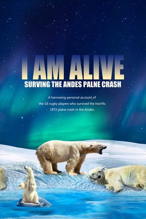 字母印花华亿平台图片