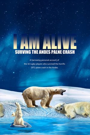 字母印花华亿平台图片