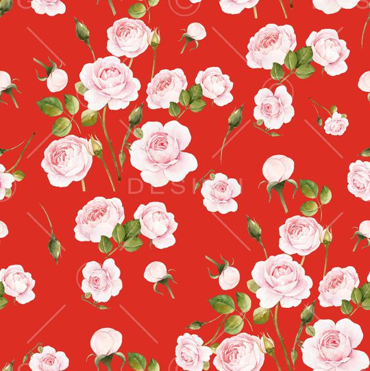 玫瑰花印花华亿平台图片