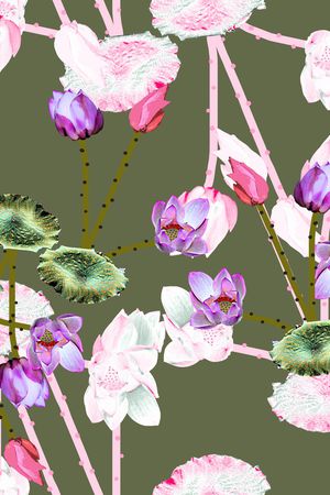 荷花印花华亿平台图片