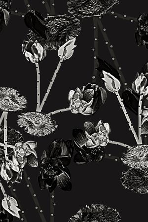 荷花印花华亿平台图片