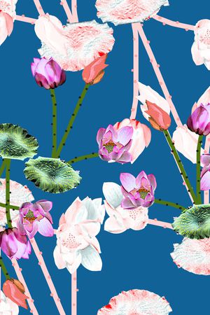 荷花印花华亿平台图片