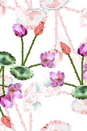 荷花印花华亿平台图片