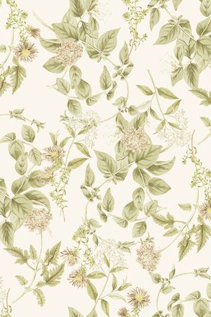 女装印花华亿平台图片