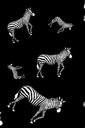 涂鸦印花华亿平台图片