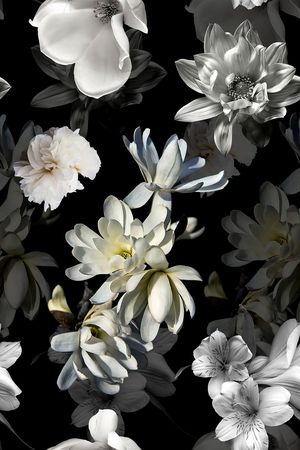 黑底花卉印花华亿平台图片