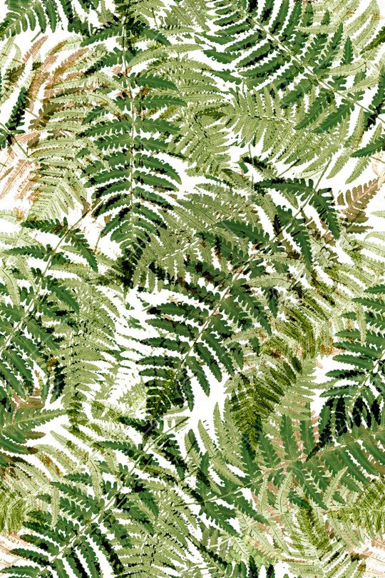 绿植树叶印花华亿平台图片