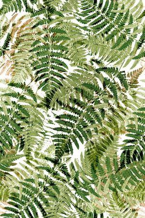 绿植树叶印花华亿平台图片