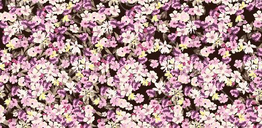 女装印花华亿平台图片