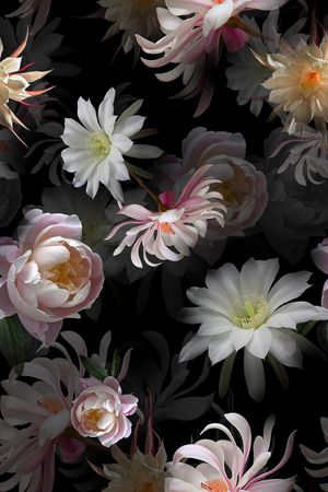 黑底花卉印花华亿平台图片