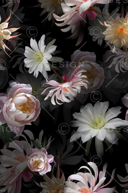 黑底花卉印花华亿平台图片