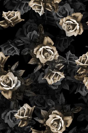 黑底花卉印花华亿平台图片