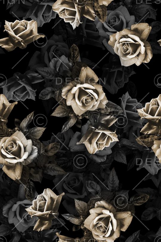 黑底花卉印花华亿平台图片