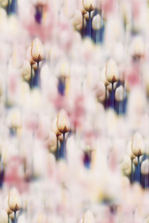 旗袍印花华亿平台图片