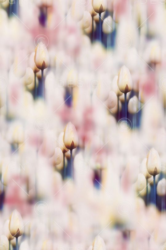 旗袍印花华亿平台图片