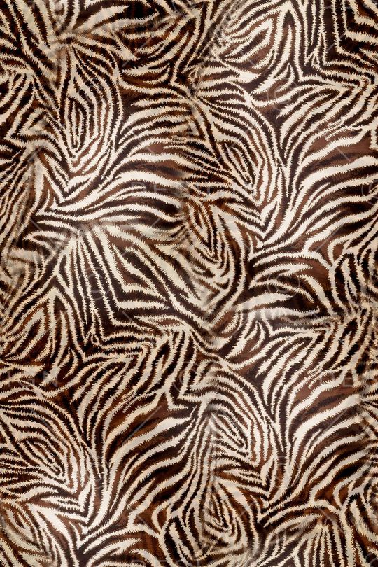 斑马纹印花华亿平台图片