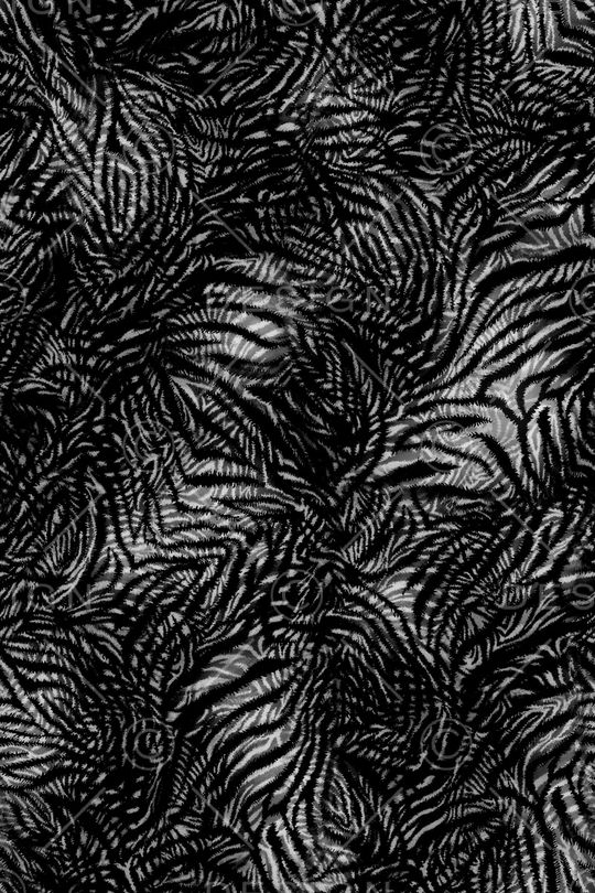 斑马纹印花华亿平台图片